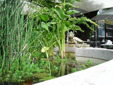 Museum courtyard fountain