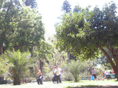 Martial Arts practice in Parque Lezama