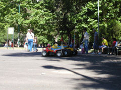 Parque Patricios miniature cars
