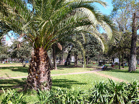 Parque Rivadavia