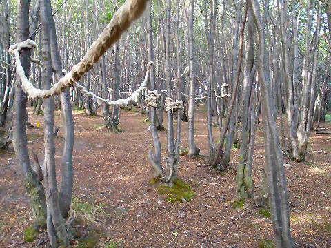 Parque Yatana