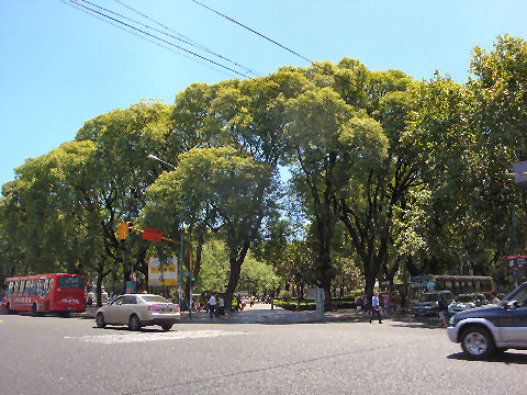 Plaza Pueyrredon