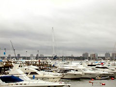 Punta del Este marina