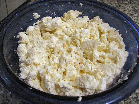 Ricotta making