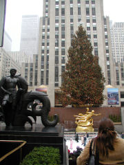 Tree at Rockefeller Center