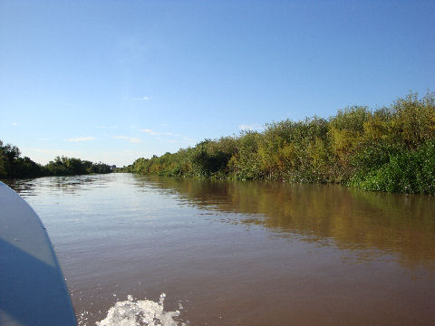 Rosario - delta tour