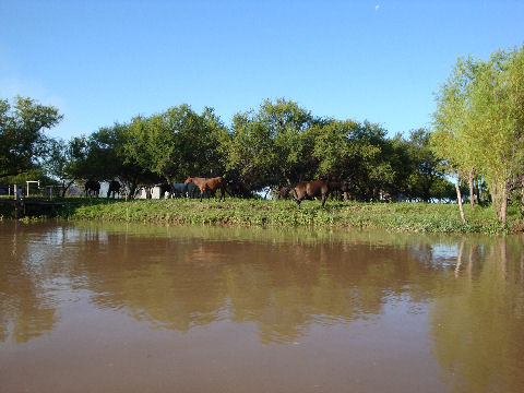 Rosario - delta tour