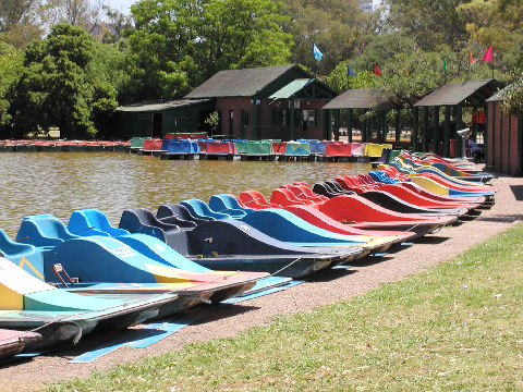 Paddleboats on the Rosedal pond