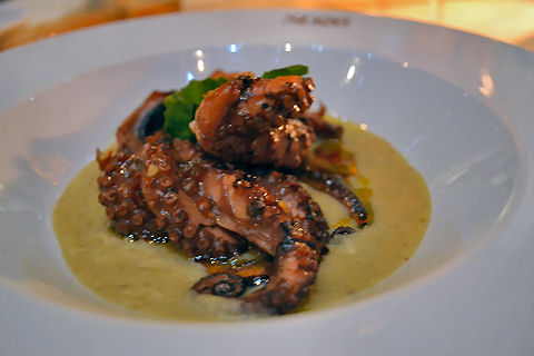 SD26 - grilled octopus