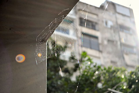 Spiderweb