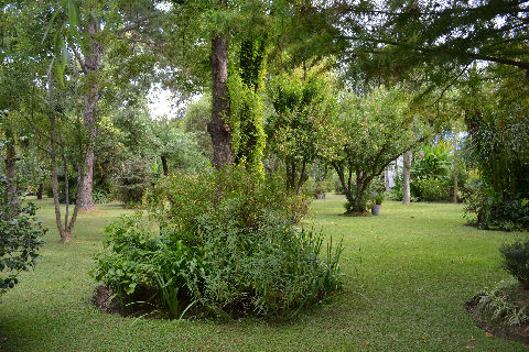 Gato Blanco - park