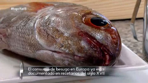 Top Chef España - Episodio 8