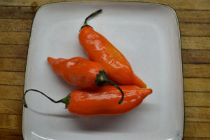 aji-amarillo