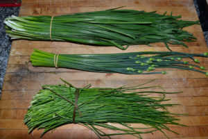 chives-codicil