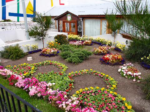 flower bed at town hall