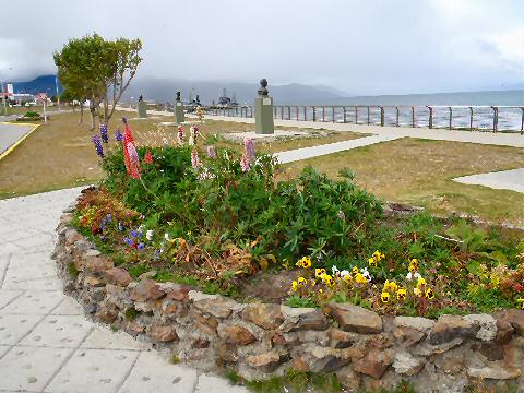 flower bed on the waterfront