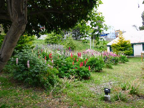 a private garden