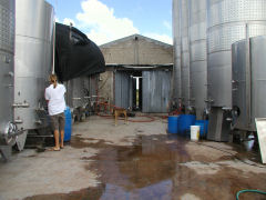 Vinedo de los Vientos - outdoor fermentation tanks