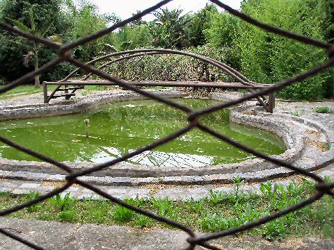 Pond behind fence
