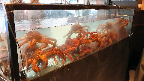 Villagio - crabs