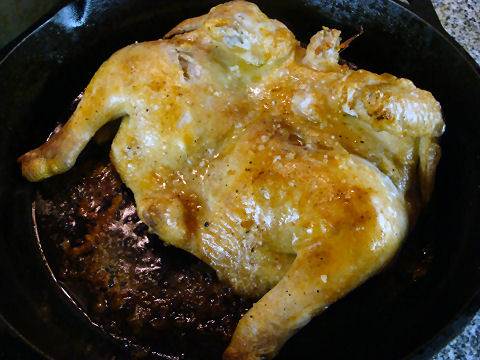 The broiled chicken