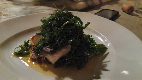 Wong - wild striped bass